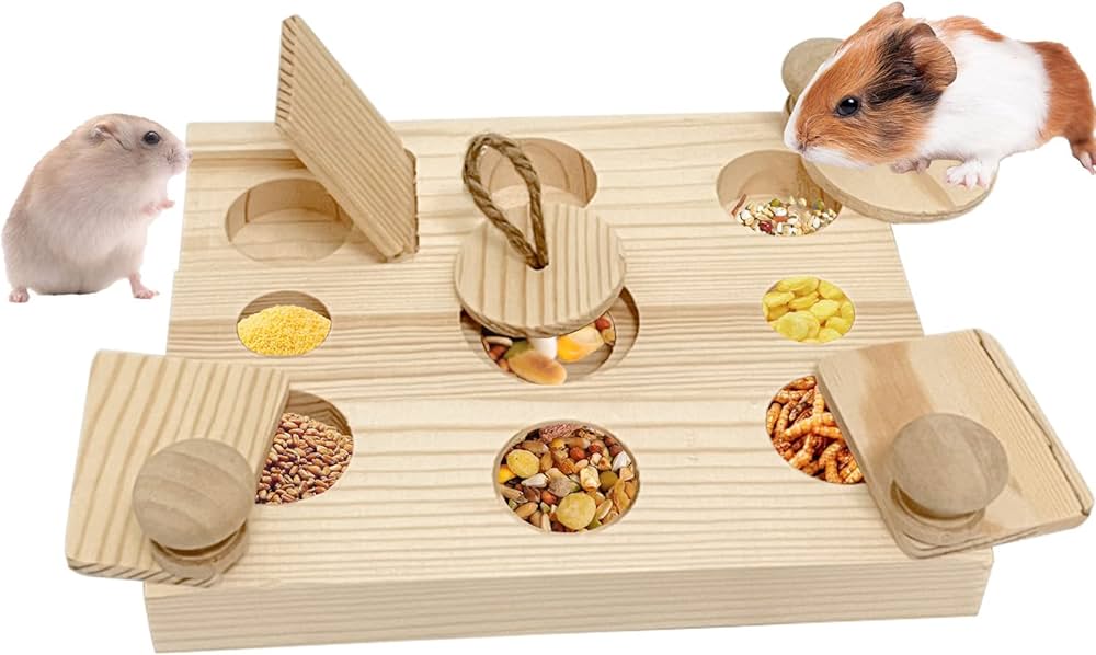 Boost Your Hamster’s Happiness: 7 Natural Enrichment Ideas