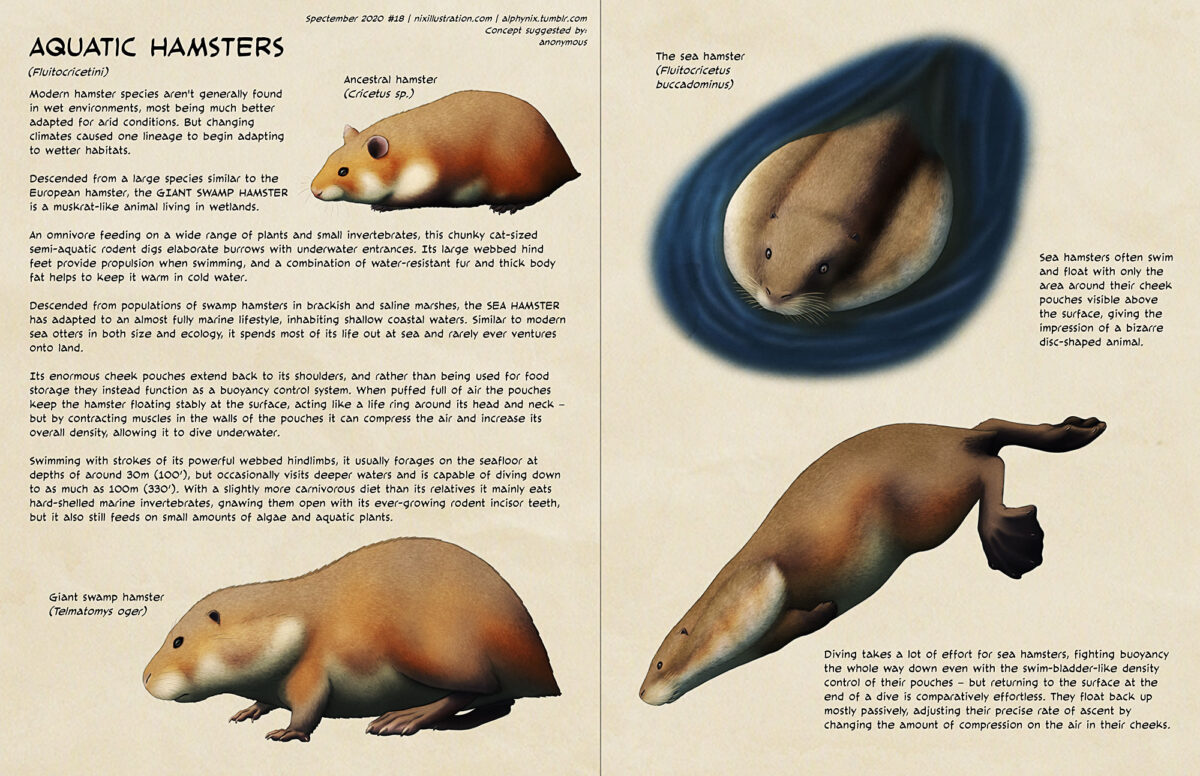 Discover 7 Fascinating Adaptations of Hamster Types Today!