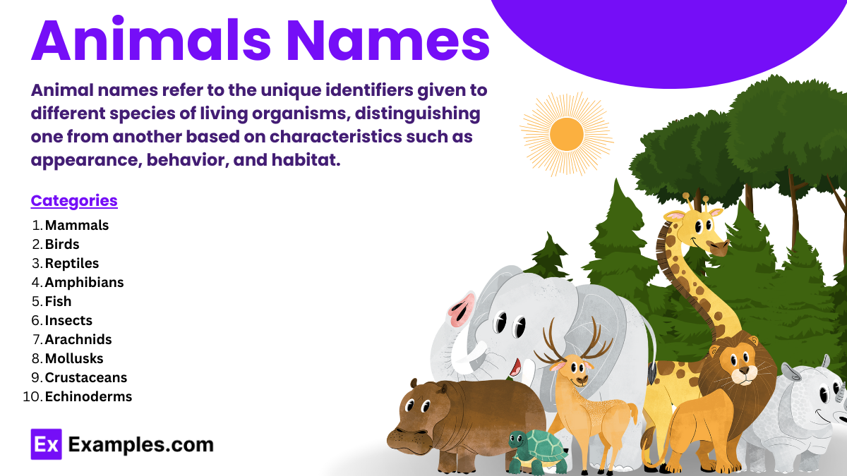 Discover Unique Traits of 8 Popular Hamster Types