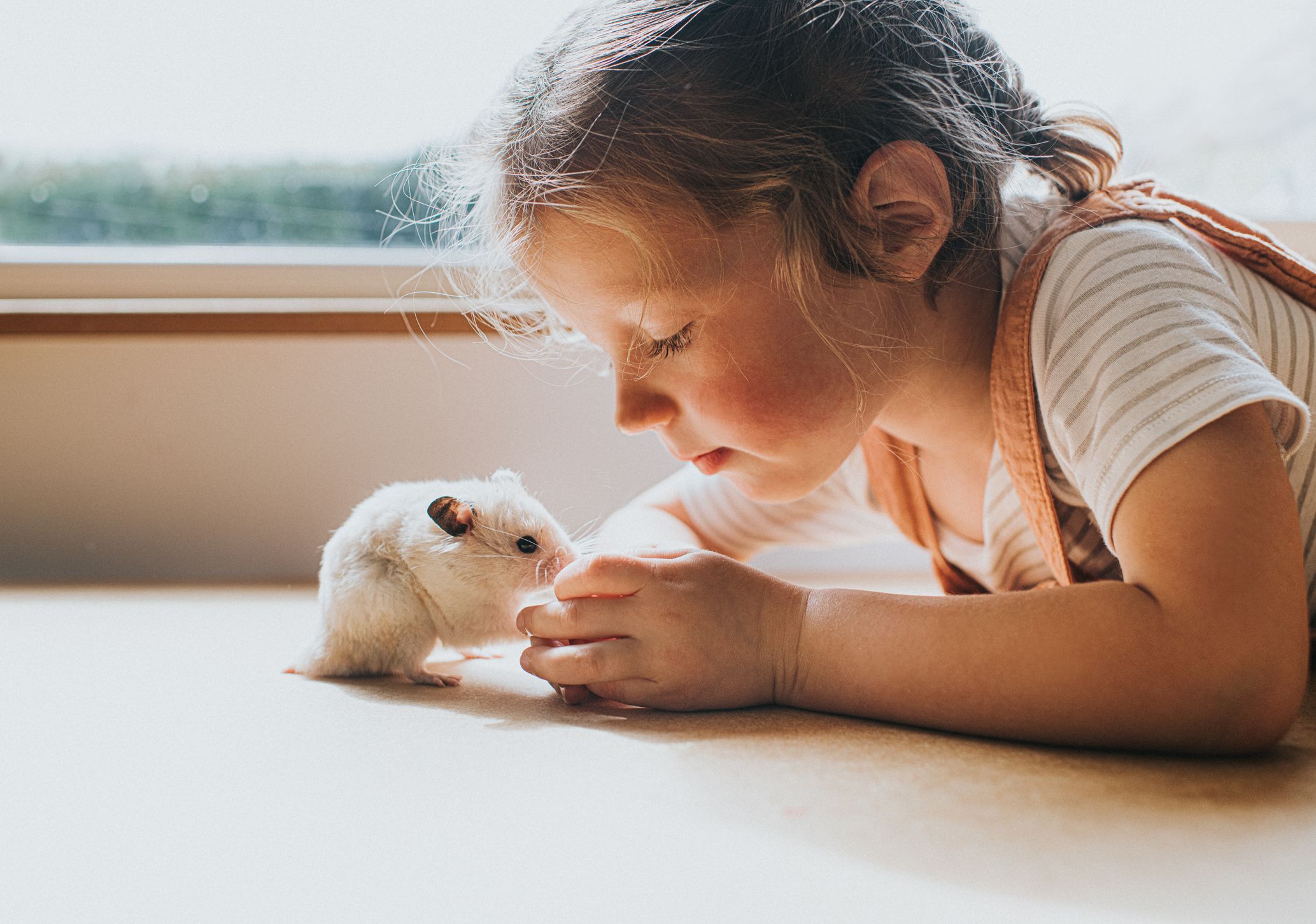 Discover the 5 Best Kid-Friendly Hamster Breeds for Families